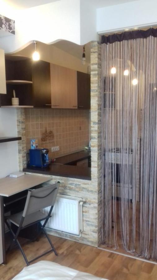 Apartmán Alexandra 'S Studio Brašov Exteriér fotografie